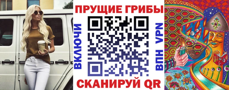 Псилоцибиновые грибы мицелий  закладка  Находка 
